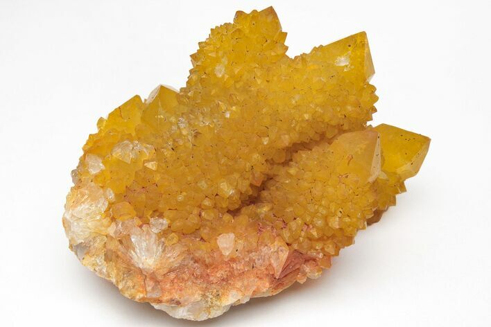 Sunshine Cactus Quartz Crystal Cluster - South Africa #212656